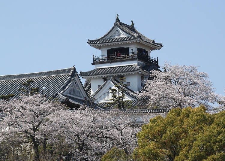 1. Kochi Castle