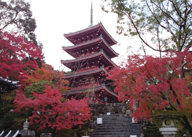 5. Chikurin-ji Temple