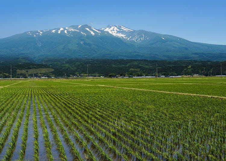 Surround yourself with nature at Mt. Chokai & Tobishima Island Geopark