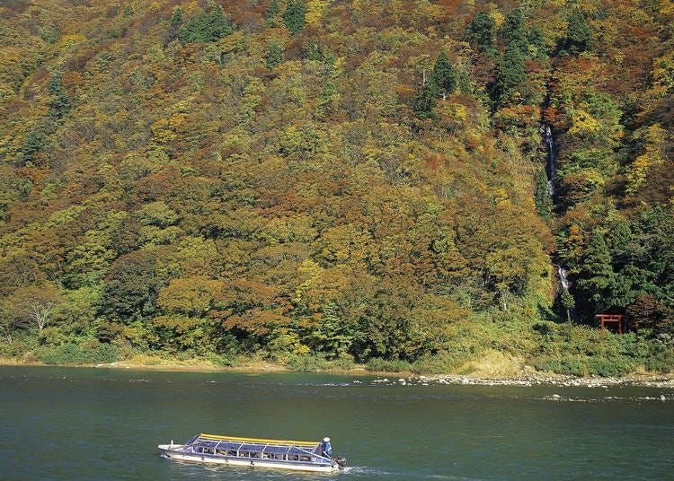 Cruise Mogami River by boat