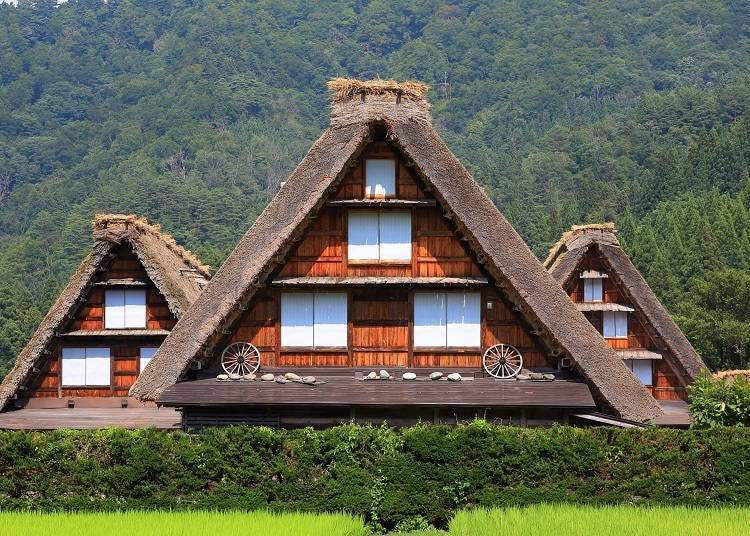 Tokyo to Shirakawa-go: These Budget Bus Tickets Take You To Japan’s Top-Rated Places!