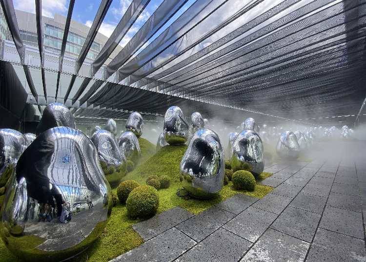 Moss Garden of Resonating Microcosms: Changing Scenery Depending on Weather and Time