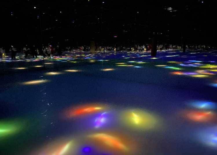 Drawing on the Water’s Surface, Created by the Dance of Koi and People