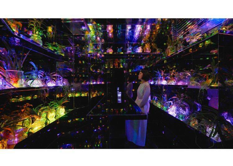 teamLab「Orchid Glass House」©teamLab