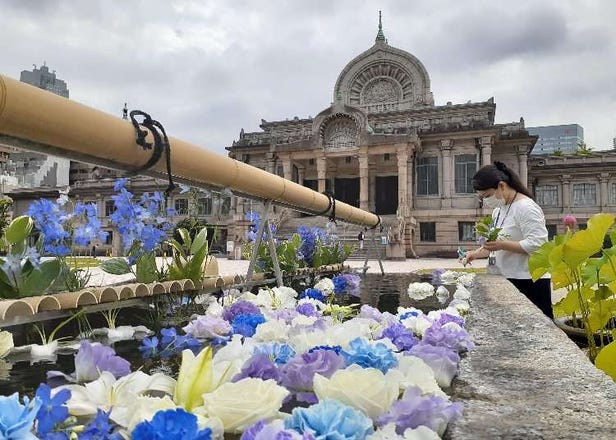 コロナ禍で生まれた新しい寺社での癒やし「花手水（はなちょうず）」とは