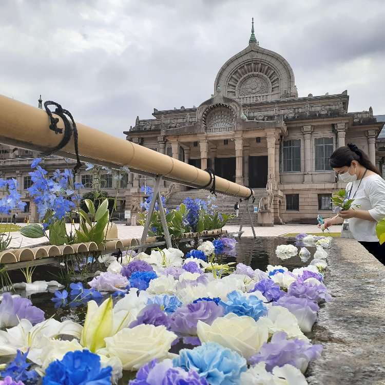 コロナ禍で生まれた新しい寺社での癒やし 花手水 はなちょうず とは Live Japan 日本の旅行 観光 体験ガイド