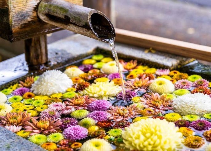 コロナ禍で生まれた新しい寺社での癒やし 花手水 はなちょうず とは Live Japan 日本の旅行 観光 体験ガイド