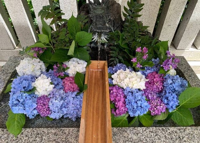コロナ禍で生まれた新しい寺社での癒やし 花手水 はなちょうず とは Live Japan 日本の旅行 観光 体験ガイド