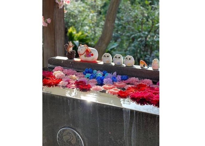 コロナ禍で生まれた新しい寺社での癒やし 花手水 はなちょうず とは Live Japan 日本の旅行 観光 体験ガイド