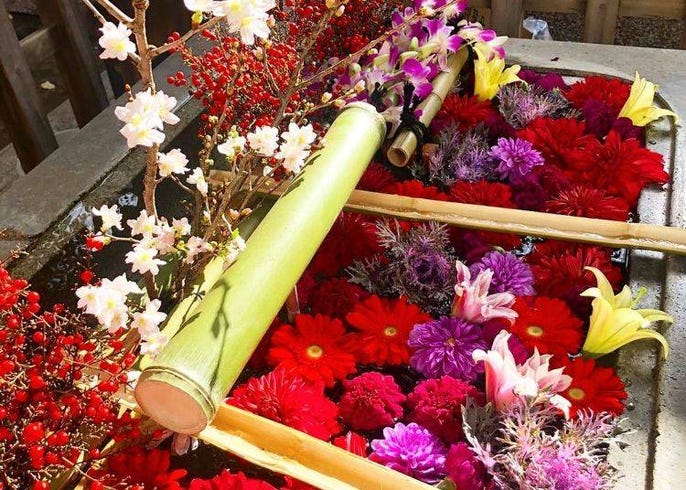 コロナ禍で生まれた新しい寺社での癒やし 花手水 はなちょうず とは Live Japan 日本の旅行 観光 体験ガイド
