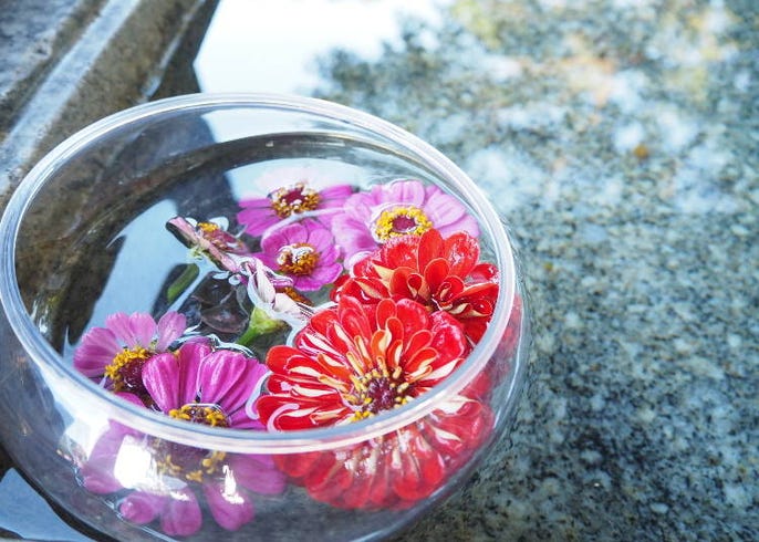 コロナ禍で生まれた新しい寺社での癒やし 花手水 はなちょうず とは Live Japan 日本の旅行 観光 体験ガイド