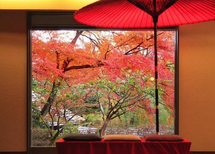 ■모든 객실에서 하코네 외륜산과 정원의 붉게 물든 단풍을 만끽할 수 있는 ‘하코네 고라 온천 유토리로앙’