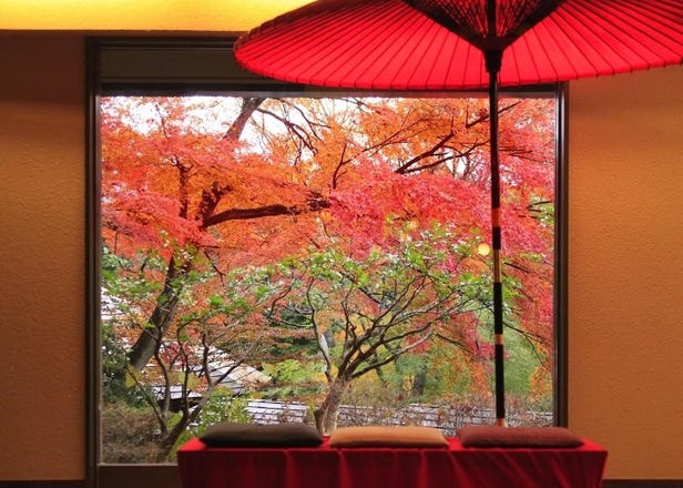 3間東京近郊「能在房間內賞紅葉」的飯店、旅館【秋遊東京必住】