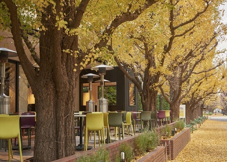 特推3間東京「賞紅葉美景餐廳」！讓你美食配美景雙享受