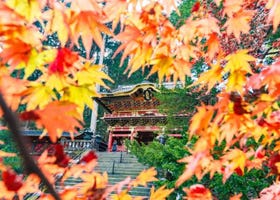 お得チケットで紅葉狩り！「まるごと日光 東武フリーパス」で行く日光の紅葉絶景巡り