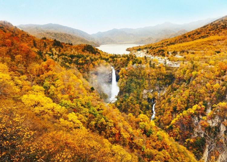 ■一次飽覽廣闊自然與紅葉「明智平～中禪寺湖」