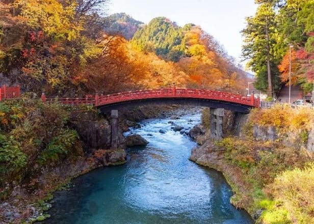 7個必看的東京近郊「紅葉美景」：箱根空中纜車、日光神橋、高尾山等