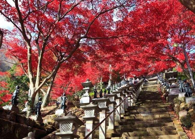 2. Oyama-dera: A Tunnel of Maple Leaves!