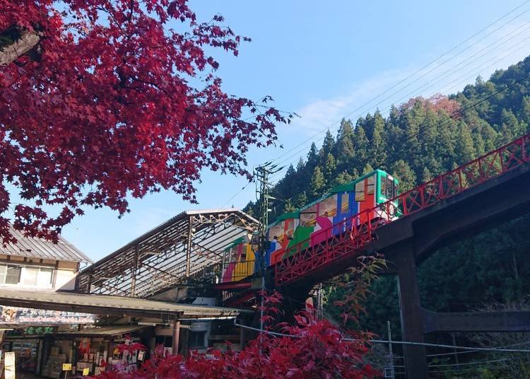 照片提供:御岳登山鐵道
