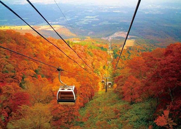 2-Day Fall Foliage Road Trips From Tokyo: 3 Unforgettable Spots For Refreshing Autumn Colors