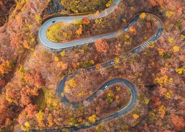 2-Day Fall Foliage Road Trips From Tokyo: 3 Unforgettable Spots For Refreshing Autumn Colors