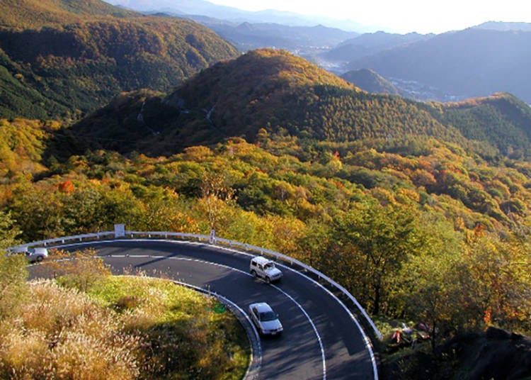 Getting to Nikkō