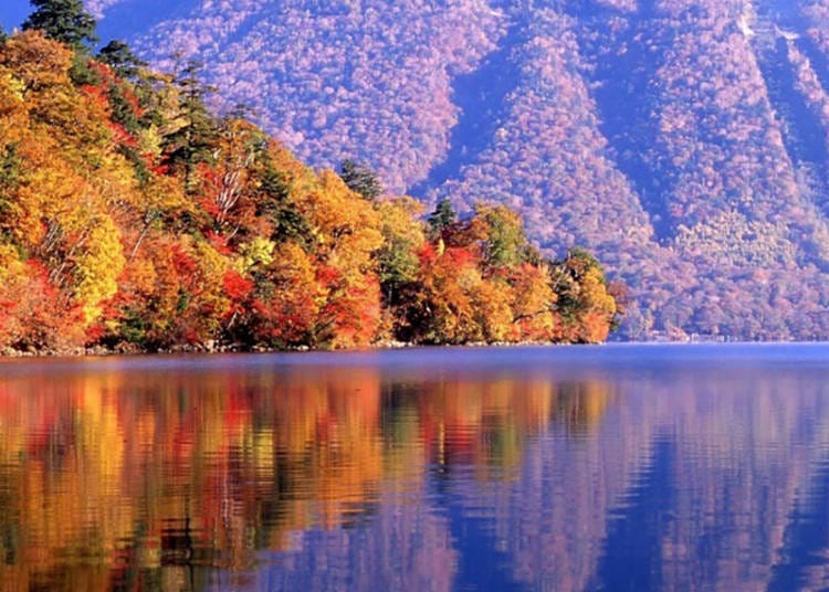 1-2. Lake Chūzenji: Double the delight with fiery autumn leaves that reflect off the lake's calm waters!
