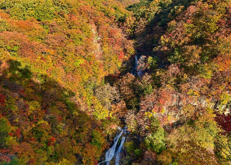 1-3. Kirifuri Falls: One of the three most impressive waterfalls of Nikkō