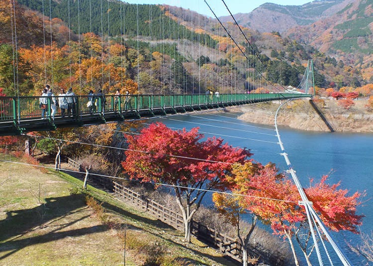 2-1. Momijidani Suspension Bridge: Feel the legendary "suspension bridge effect" while being surrounded in all directions by autumn leaves!