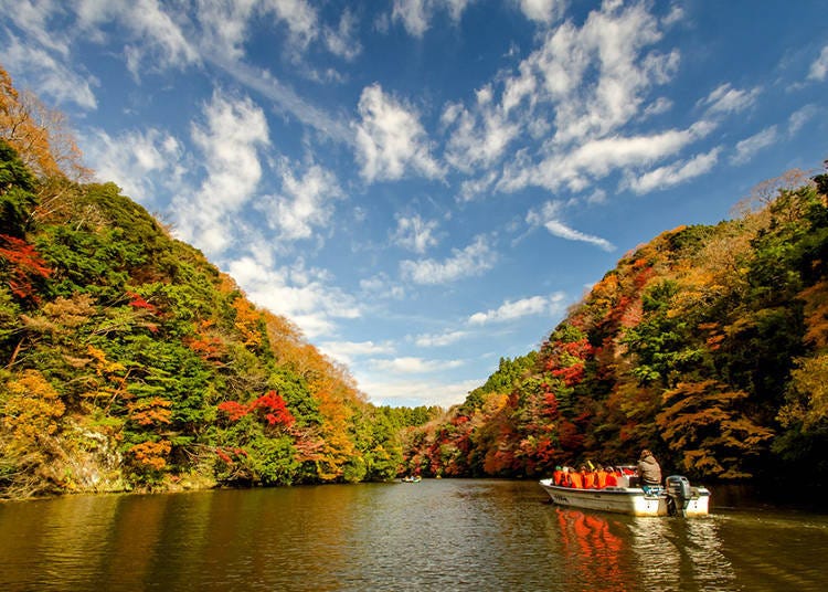 3-3. Kameyama Lake: Hunting for the prettiest autumn leaves on top of a cruise ship