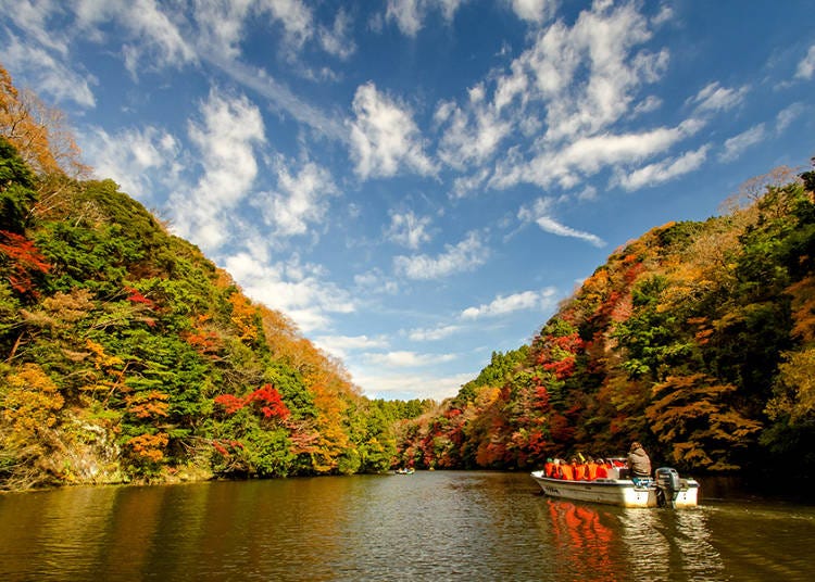 紅葉狩りクルーズで湖上から絶景スポットを探索できる「亀山湖」