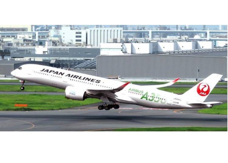 5. JAL: Domestic Return Ticket Lottery Campaign!