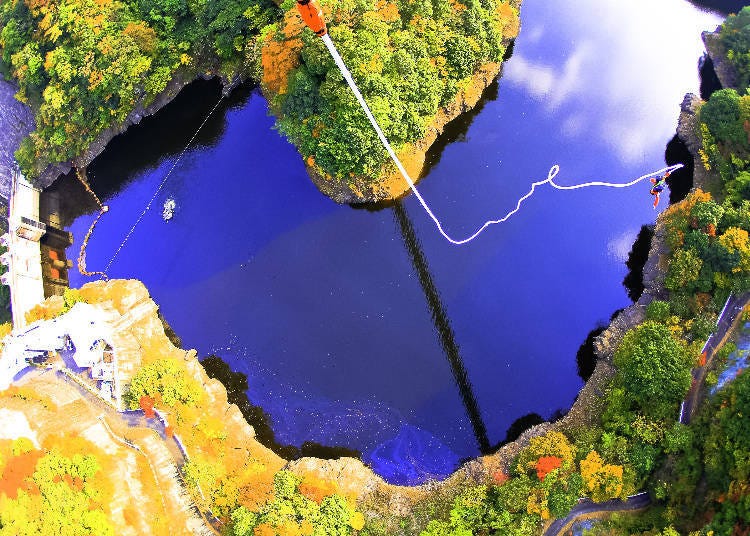 Photo Provided By: Bungy Japan