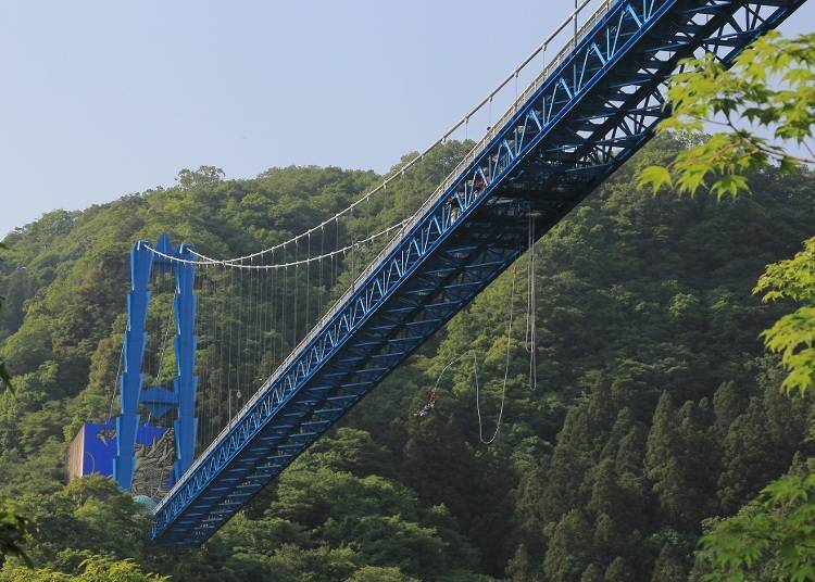 Photo Provided By: Bungy Japan