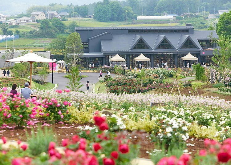 Renovated in April 2021! Concepts behind the renewed Ibaraki Flower Park