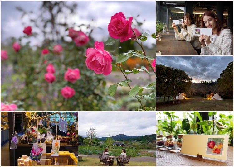 Enjoy reconnecting with flowers and nature - Come to Ibaraki Flower Park and HANAYASATOYAMA!
