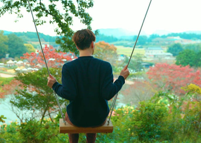 バラの楽園 いばらきフラワーパーク 宿泊施設 花やさと山 を遊び尽くす1日プラン Live Japan 日本の旅行 観光 体験ガイド