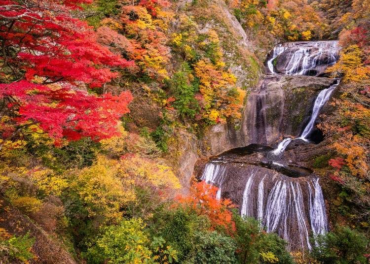 Fukuroda Falls - Ibaraki (Image: PIXTA)