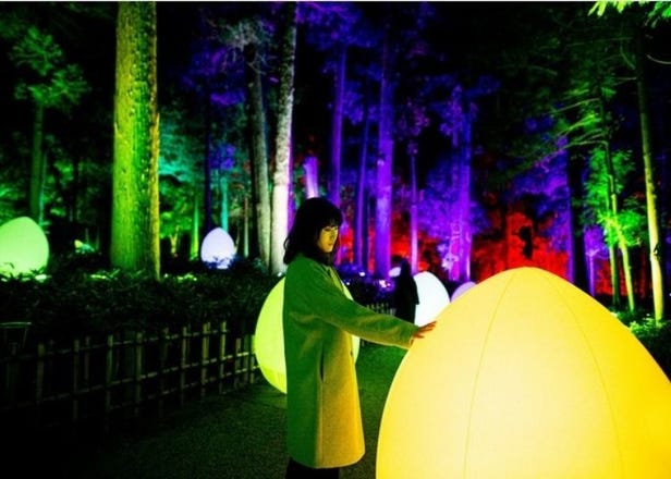 The teamLab Kairakuen Light Festival Returns to Ibaraki in 2022