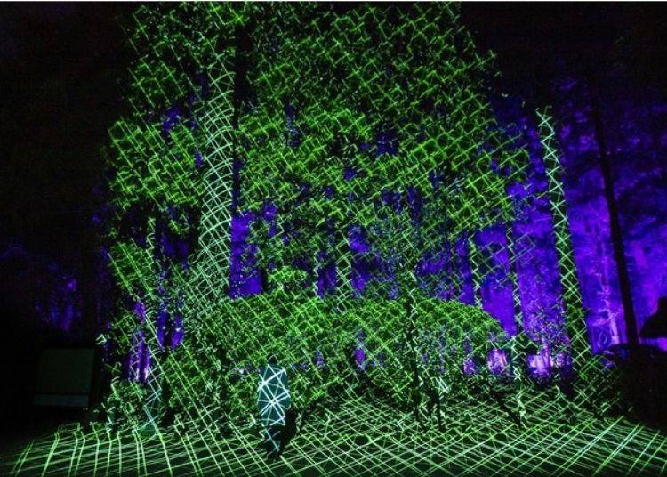 Digitizing Nature to Express Life's Cycles
