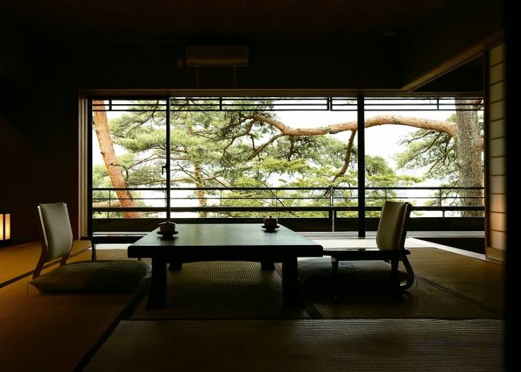 ▶佳松亭のすべての客室の窓からは、樹齢300年を超える立派な松の木が眺められる