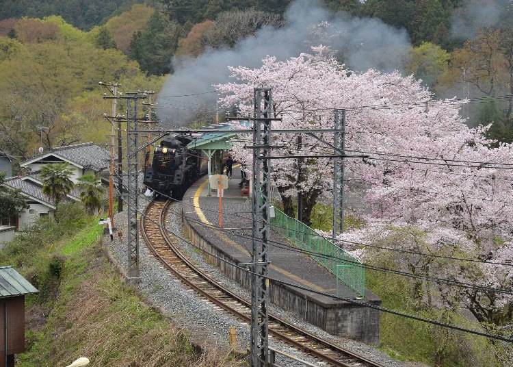 우라야마구치 역의 풍경 (사진 제공: 지치부철도)