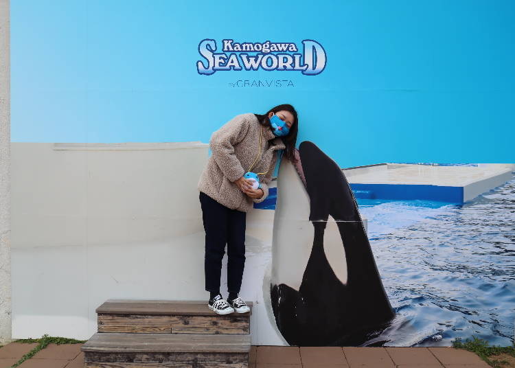 Photo Spot #3: Get a Photo with the Orca!