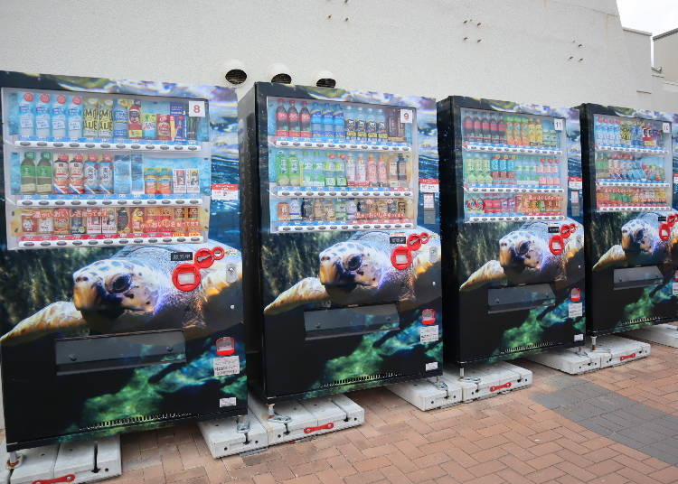 Photo Spot #4: Vending Machines with Special Sea Animal Designs