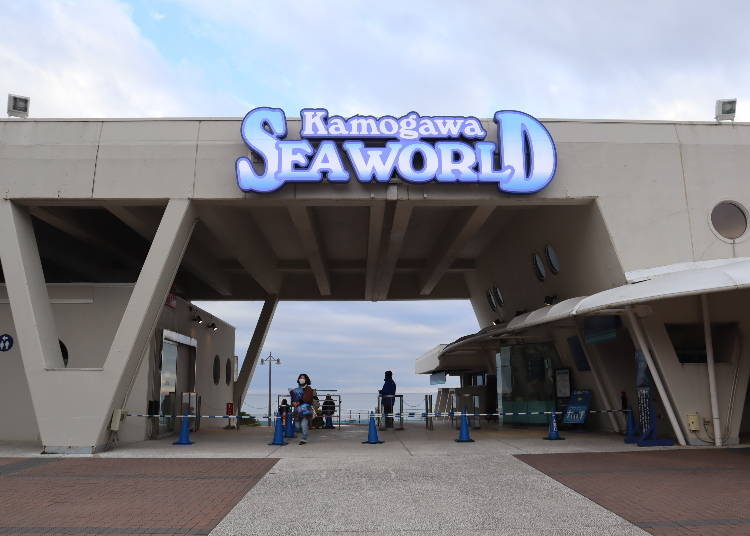 What is there to see at Kamogawa Sea World?