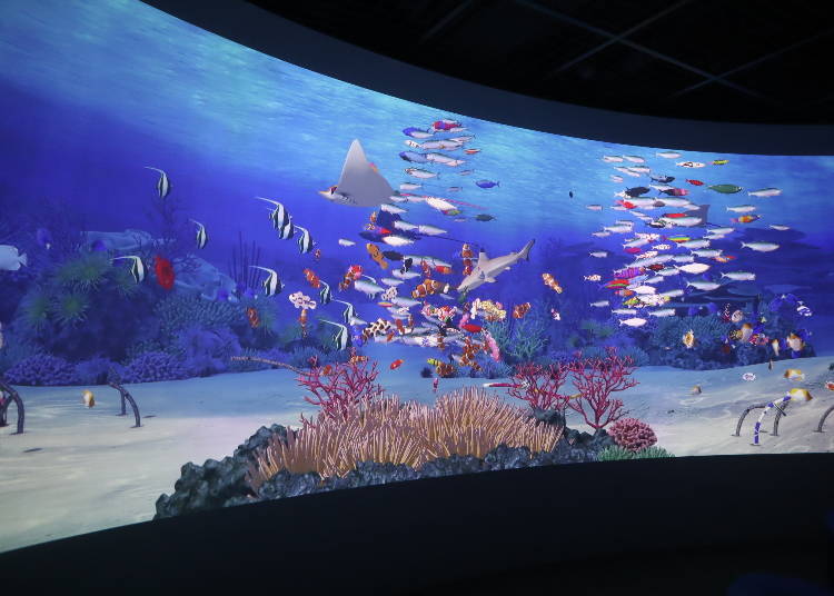 ■鴨川海洋世界推薦必看⑤自己動手畫隻魚豐富水槽「數位水族館」