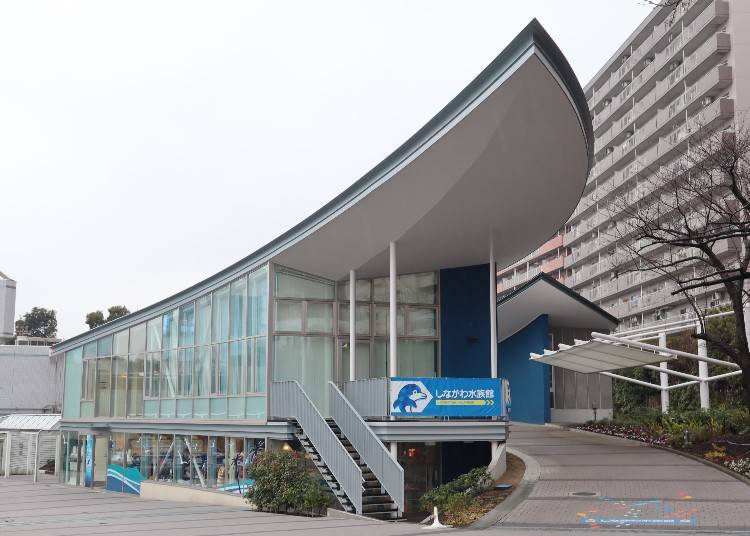 What can you do at Shinagawa Aquarium?