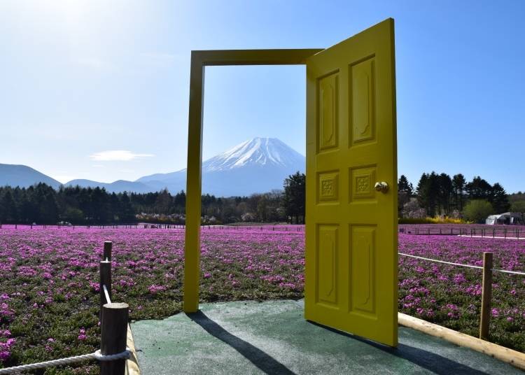 "The Yellow Door of Happiness" (Image: PR Times)
