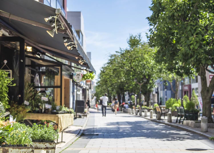 Green Street in Jiyūgaoka (Image: PIXTA)