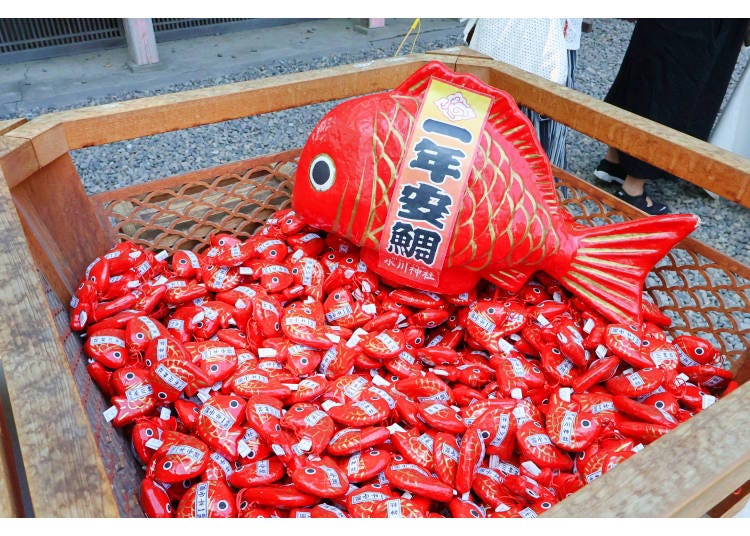 Tai (sea bream)